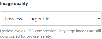 PixToPaper Image quality control with Lossless — larger file selected and a reminder about browser-safety downscaling.